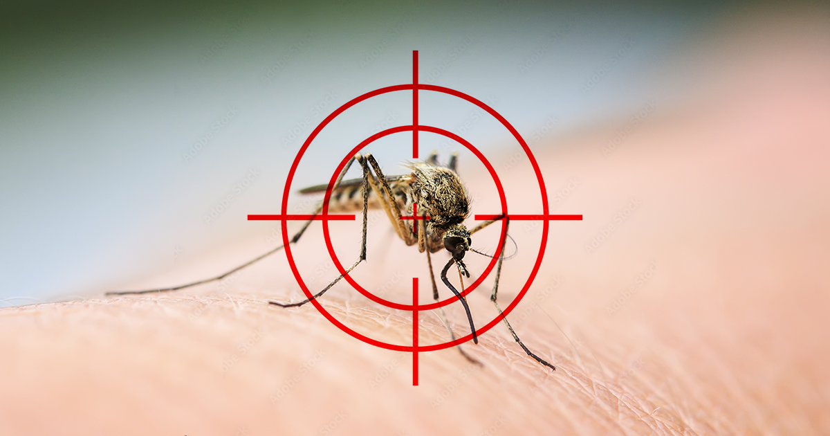 Kill Mosquitoes With These 10 Easy Home Remedies That Actually Work