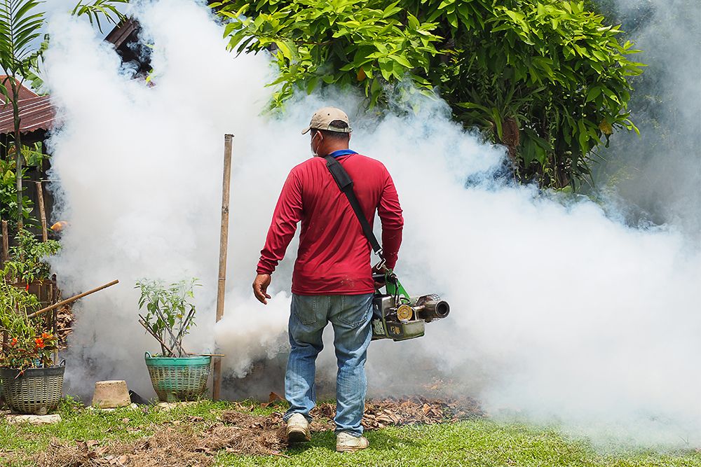 dengue-prevention-and-control-mosquito-control-spray 