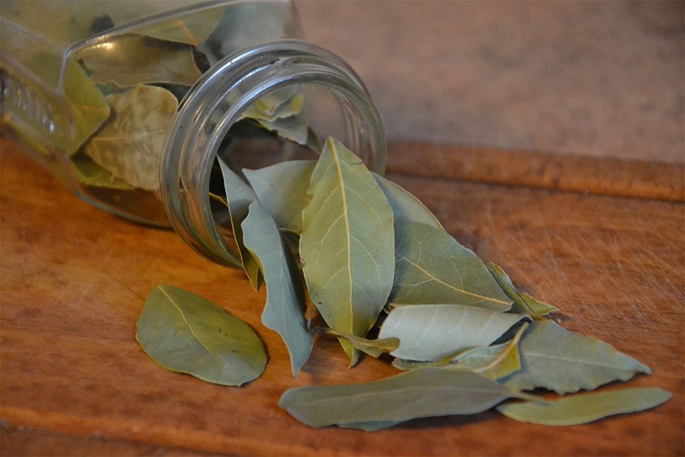 how-to-get-rid-of-roaches-with-bay-leaves